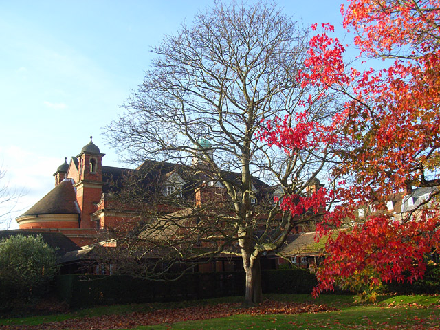 Whiteknights campus, Reading